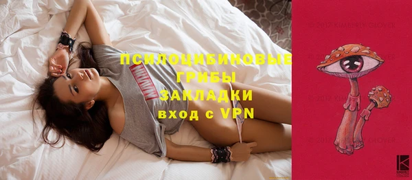 спиды Вязьма
