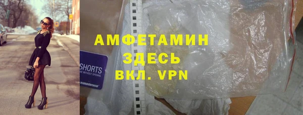 прущие грибы Вяземский