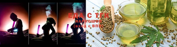 прущие грибы Вяземский