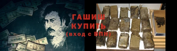 прущие грибы Вяземский