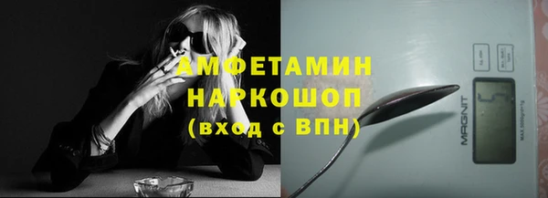 прущие грибы Вяземский
