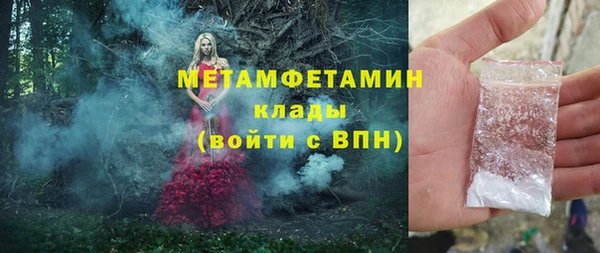 прущие грибы Вяземский