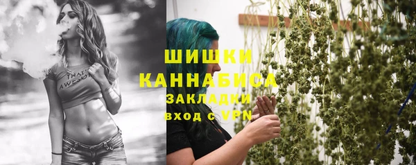 прущие грибы Вяземский