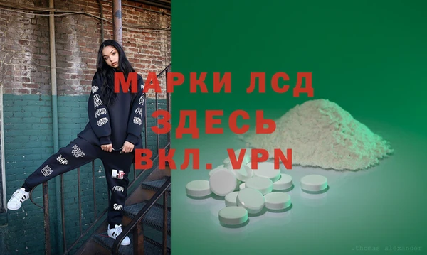 прущие грибы Вяземский