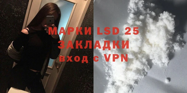 прущие грибы Вяземский