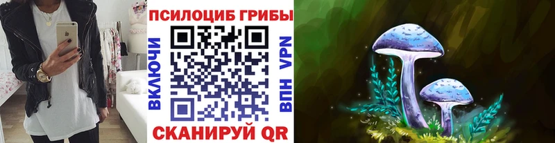Галлюциногенные грибы Magic Shrooms  Купить закладки  Новочебоксарск 
